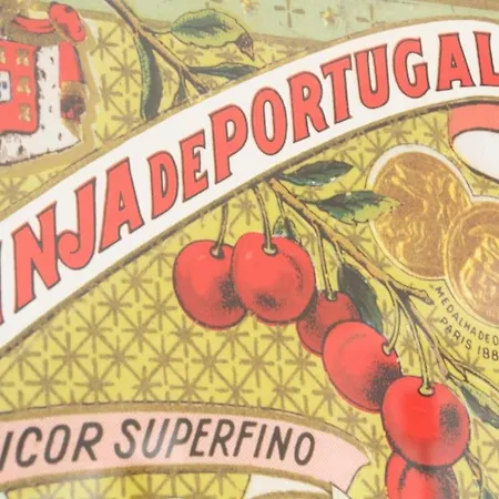 Lejlighed Martim Vaz I - Downtown