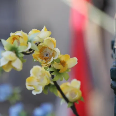 Martim Vaz I - Downtown * Lisboa